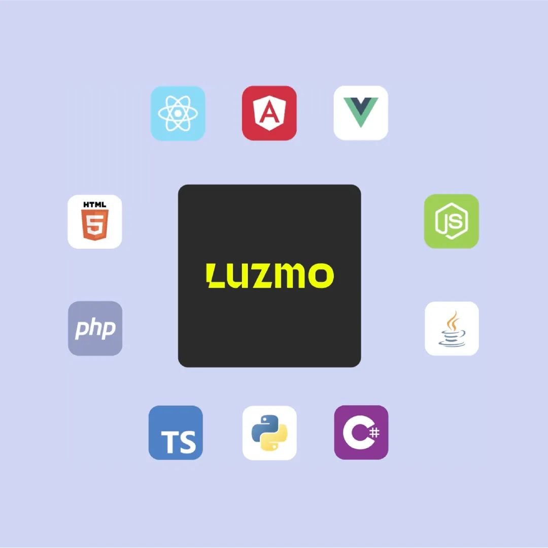 Luzmo integration possibilities