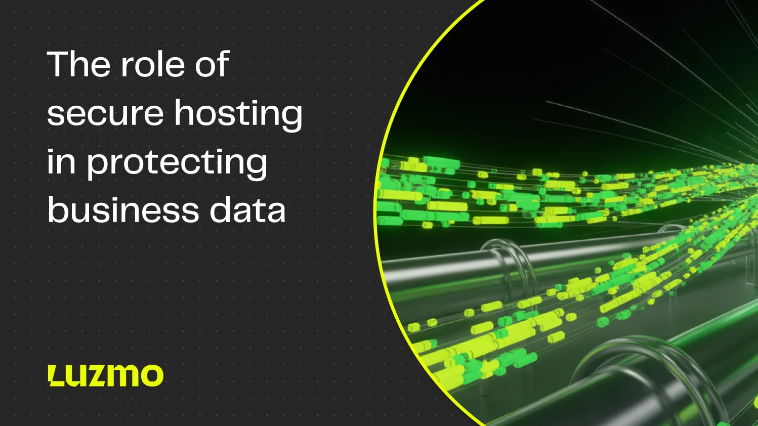 The role of secure hosting in protecting business data