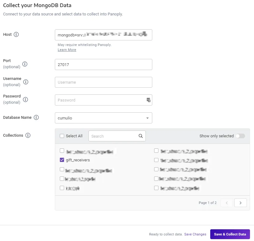 Setting up a data connection in Panoply