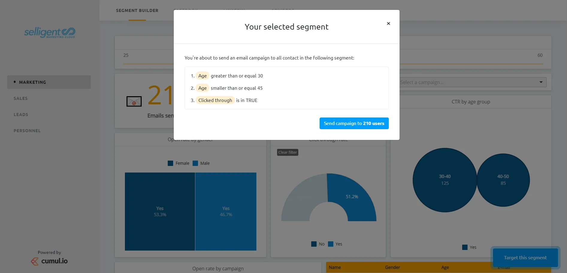How Selligent connects their embedded analytics to a marketer's known and loved business processes.
