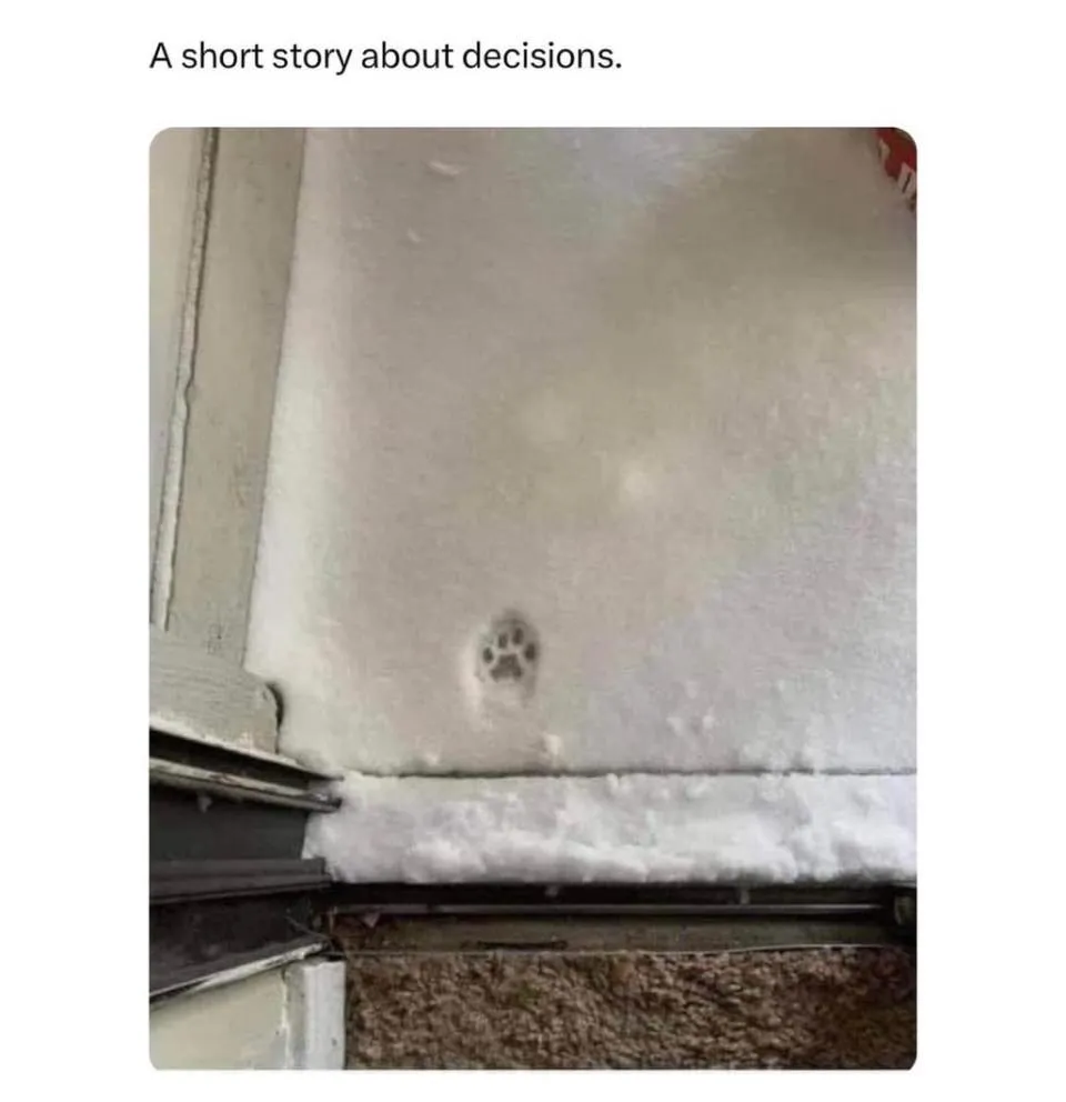 data driven decision making