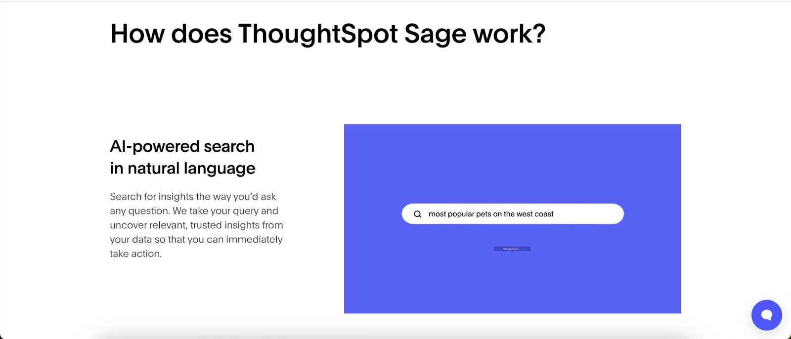 thoughtspot sage