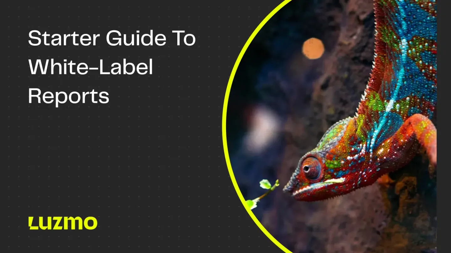 White Label Reports: What They Are + How to Guide