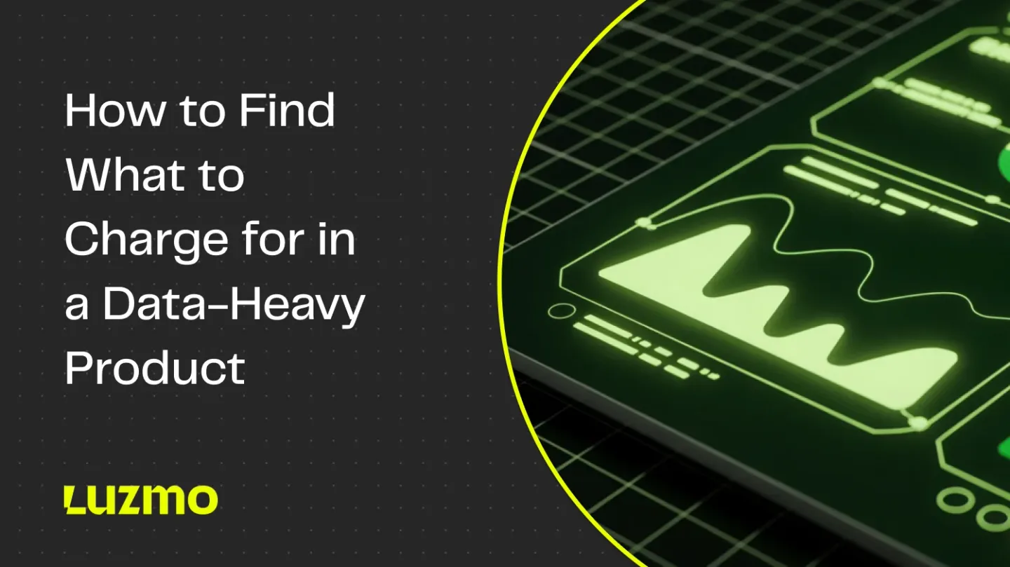 How to Find What to Charge for in a Data-Heavy Product