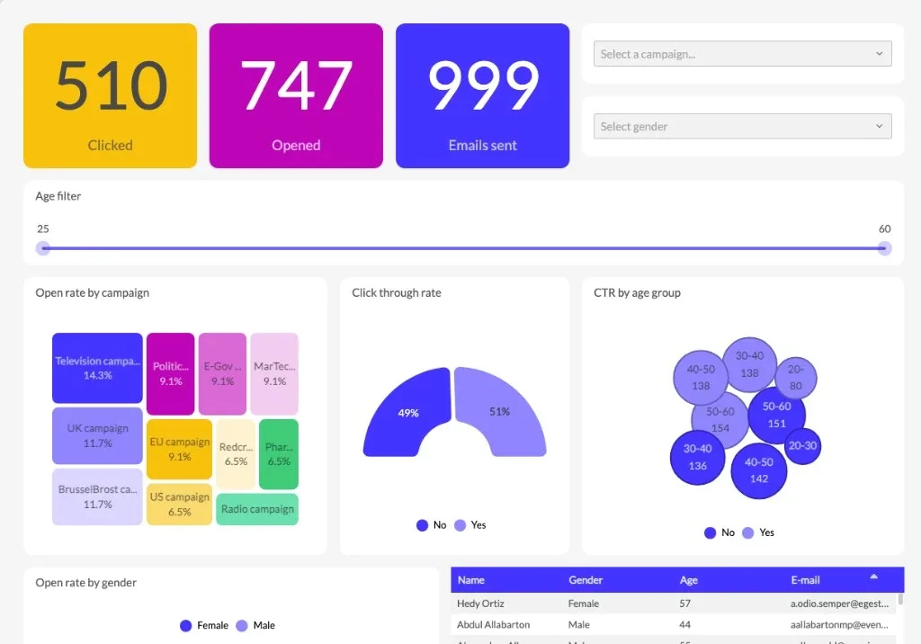 Luzmo analytics embedded in Selligent Marketing Cloud